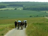 2011- 068.jpg